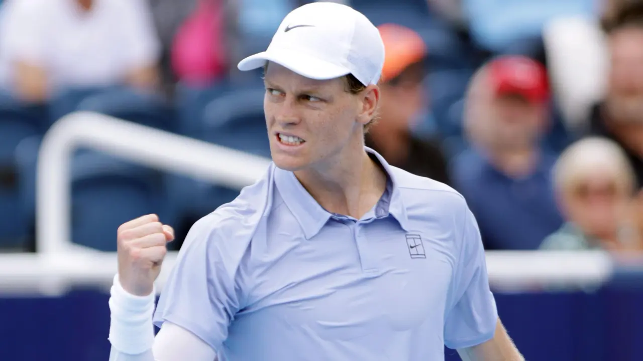 辛纳, 如果阿尔卡