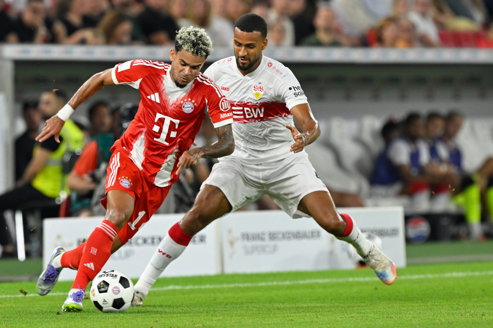 年弗朗茨, 胡夫纳格尔, https