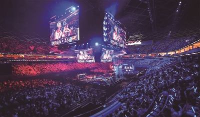 我们就在网, 奥体中心体 我们就在网, 奥体中心体