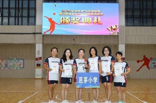 amp, 小学代表队